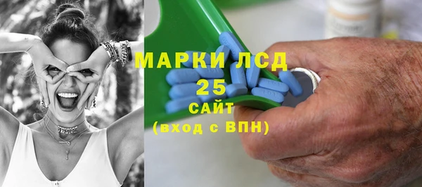 амф Гусев