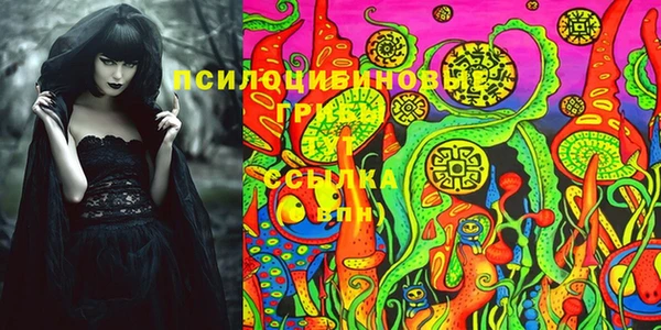 Альфа ПВП Дмитриев