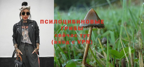 прущий лед Дмитров